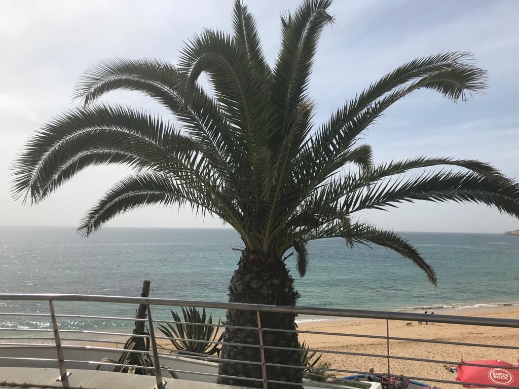 armacao de pera apartment for sale rent