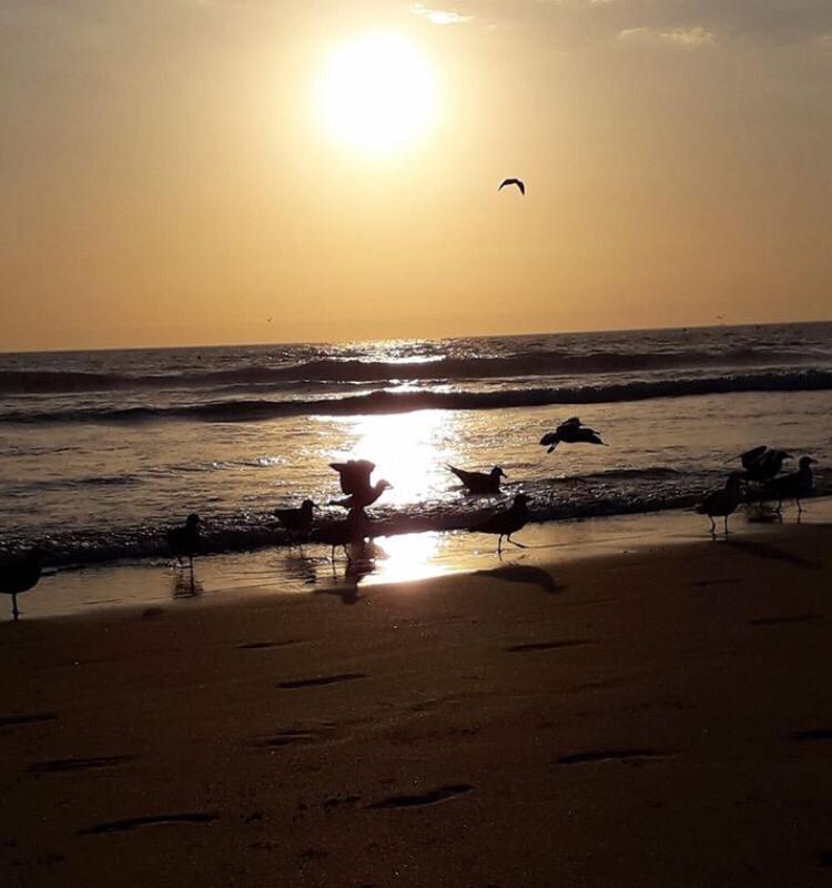 armacao de pera apartment for sale rent